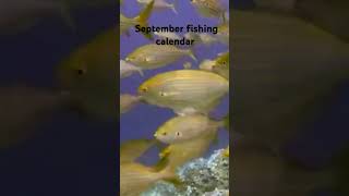 September fishing calendar the best days to go fishing fishing by the moon cycle fishing [upl. by Eiznekcam]