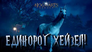 ЕДИНОРОГ ХЕЙЗЕЛ  Hogwarts legacy 46 РУССКАЯ ОЗВУЧКА [upl. by Denbrook]