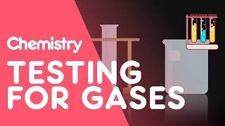 Testing for Hydrogen Oxygen Carbon Dioxide Ammonia and Chlorine  Tests  Chemistry  FuseSchool [upl. by Aleron197]