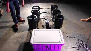 Bubble Flow Buckets How to grow with 2012 best bucket system [upl. by Nadda]