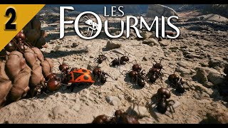 Les fourmis 2 on attaque les termites [upl. by Creight]