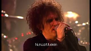 The Cure Bloodflowers Sub Español Live In Berlin 2002 [upl. by Arahk]