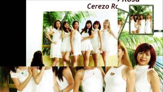 Cerezo Rosa line dance Demo 111118 [upl. by Ditmore200]