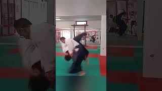 aikido shomen uchi kotegaeshi [upl. by Meletius]