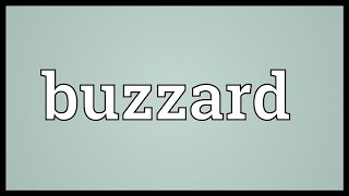 Buzzard Meaning [upl. by Woehick]