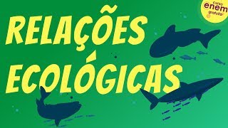 RELAÇÕES ECOLÓGICAS  Resumo de Biologia para o Enem [upl. by Airamanna]