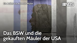 Das BSW und die gekauften Mäuler der USA  Albrecht Müller  NDSPodcast [upl. by Jamille165]