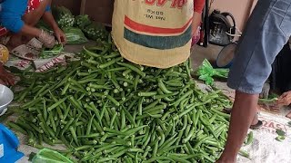 harvest ng Okra 6 youtubeshorts everyone okra [upl. by Amat500]