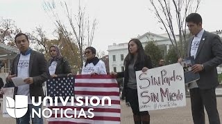 Dreamers salen en caravana para defender su permanencia en el país el día de acción de gracias [upl. by Nahama565]