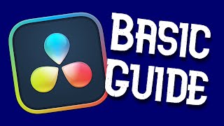 Davinci Resolve Basic Guide [upl. by Arno837]