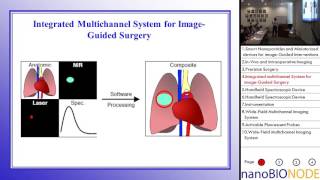 Nanotechnology and Spectroscopic Instrumentation for ImageGuided Precision Medicine Shuming Nie [upl. by Rainah27]