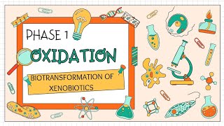 Phase 1 reaction Oxidation of biotransformation of xenobiotics youtube toxicology msc bpharma [upl. by Aisela]