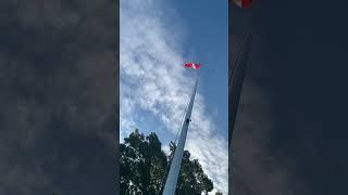 Giant Flagpole in Victoria shorts canadianflag victoriacanada [upl. by Josefa]