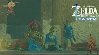 The Legend of Zelda Breath of the Wild Piercing the Eye of the Yiga [upl. by Ymot]