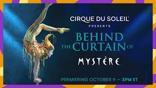 BEHIND THE CURTAIN OF MYSTÈRE  Cirque du Soleil [upl. by Kerat612]