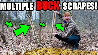 finding BIG BUCK evidence in my BACKYARD  100 yds away from home [upl. by Ecnerol]