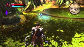 Kingdoms of Amalur Reckoning Demo Graphical Glitch  Bug Get Mass Effect 3 Unlocks [upl. by Alyag322]