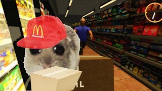 6 minutes of my friend and I stealing from roblox walmart [upl. by Araj]