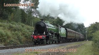 Severn Valley Railway Autumn Steam Gala 2023 [upl. by Lissy]