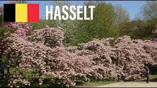 🇧🇪 Hasselt  The beauty of spring at the Japanese Garden Belgium April 2018 [upl. by Tyree]