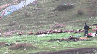 sky burial ceremony in tibet [upl. by Ayhdnas]