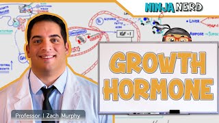 Endocrinology  Growth Hormone [upl. by Borer]