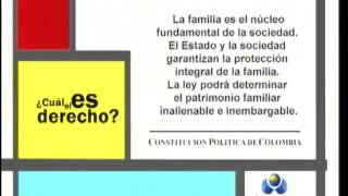 Derecho a tener una familia [upl. by Waugh]