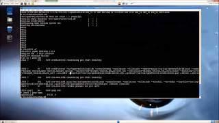 6WINDs 6WINDGate Open vSwitch Acceleration Benchmark Demo [upl. by Oisinoid]