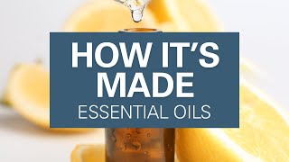 How Are Essential Oils Made [upl. by Emilia]