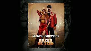 Nazra Ke Teer  SLOWEDREVERB  Vikram Sarkar lofisong slowedandreverb punjabisong [upl. by Eloci]