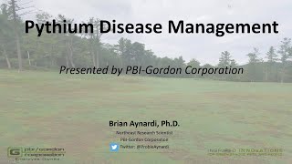 Pythium Disease Management [upl. by Natsirc564]