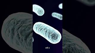 Streptococcus pneumoniae The Hidden Threat to Your Health [upl. by Bixby]