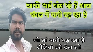 दोपहर का वीडियो सितंबर 2024 का  Chambal Mein Ab Kitna meter Pani chal raha hai  Chambal Rajghat [upl. by Louise509]