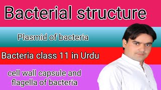 structure of bacterial cell  class 11  Dr Mushtaq [upl. by Aisinoid]