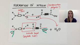 Simple Condensation polymerisation polymer explained using nylon GCSE [upl. by Kerwin]