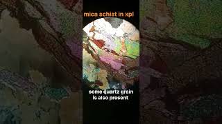 Mica schist in thin section muscovitebiotitegeologyearth science minerologycrystal [upl. by Anahc663]