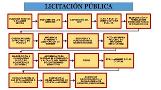 LICITACIÓN PÚBLICA PASOS Y TIEMPOS [upl. by Matuag779]