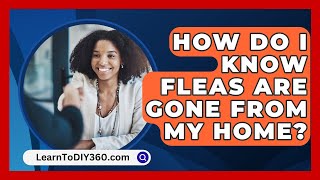 How Do I Know Fleas Are Gone From My Home  LearnToDIY360com [upl. by Elpmid]