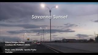 Savanna Sunset  Sponky Ponky [upl. by Ardnad]