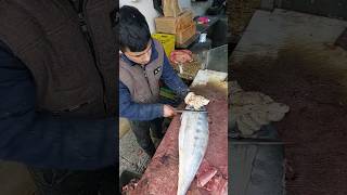 Learn how to filet fish once and for all fish shorts cuttingfish [upl. by Yelsha]