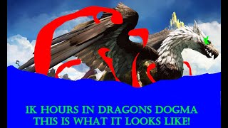 What 1k Hours Of Dragons Dogma 2 Looks Like [upl. by Adoh]