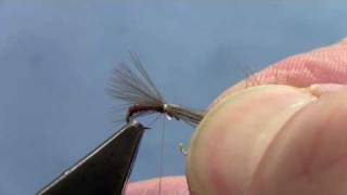 Fly Tying with Hans CDC MIDGE EMERGER [upl. by Derward]