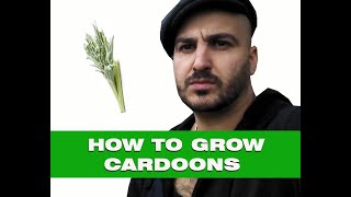 How to grow Cardoons  From Seed to Harvest [upl. by Retseh]