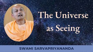 The Universe as Seeing  Swami Sarvapriyananda [upl. by Netsrik]