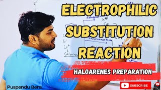 Electrophilic Substitution Reaction Mechanism  Haloarenes Preparation [upl. by Haldeman472]