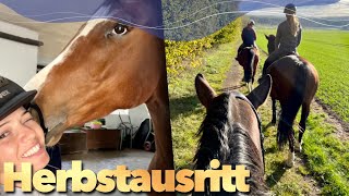 Team Ausritt amp Abschlusstraining mit Campino  Weekly Vlog 226 [upl. by Atinuaj704]