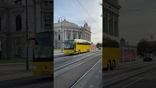 Vienna tram in Burgtheater tram viennatram vienna austria viennacity viennatoday [upl. by Rola746]