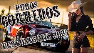 Las 50 Mejor Puros Corridos Perrones Mix 2024 Para Pistear [upl. by Parsons375]