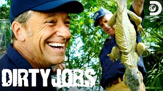 Mike Rowe Takes on Floridas Iguana Problem  Dirty Jobs [upl. by Nac104]