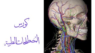 Lecture 4 B  medical terminology🩺💊 [upl. by Nierman]